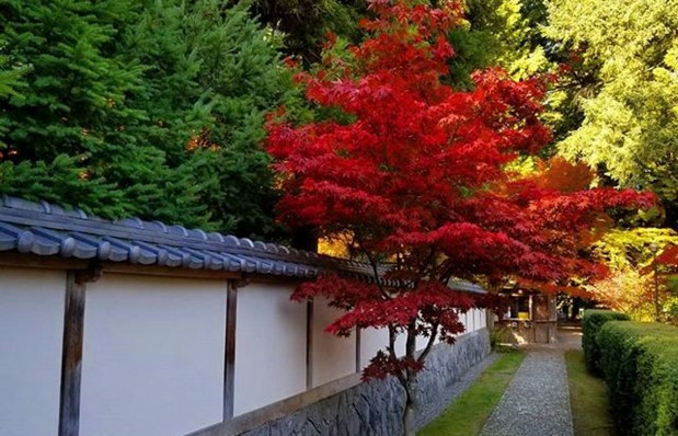 Nitobe Days A Beautiful Garden: Nitobe Memorial (Part I) | Toward Beauty